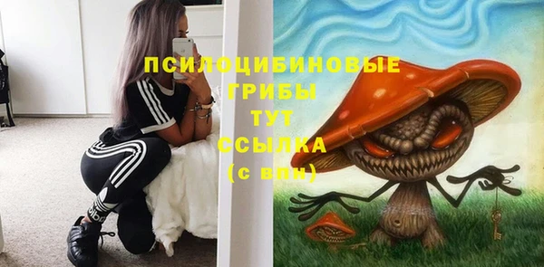 apvp Балабаново