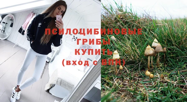 PSILOCYBIN Белоозёрский